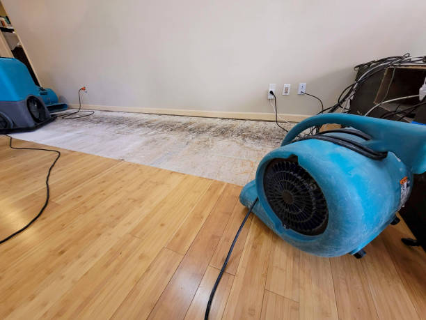 Professional Flood Damage Cleanup technician working in Covington, TX